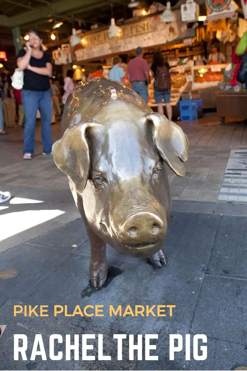 Photos of Rachel the Pig, a giant bronze piggy bank at Pike Place Market in Seattle, Washington. The attraction collects money for the Market Foundation. A fun place to stop for photography while on a Seattle vacation or Washington road trip across the Pacific Northwest. See this weird roadside attraction in Seattle.
#WashingtonRoadsideAttractions #WashingtonRoadsideAttraction #RoadsideAttractions #RoadsideAttraction #RoadTrip #WashingtonRoadTrip #SeattleRoadTrip #WeirdRoadsideAttractions