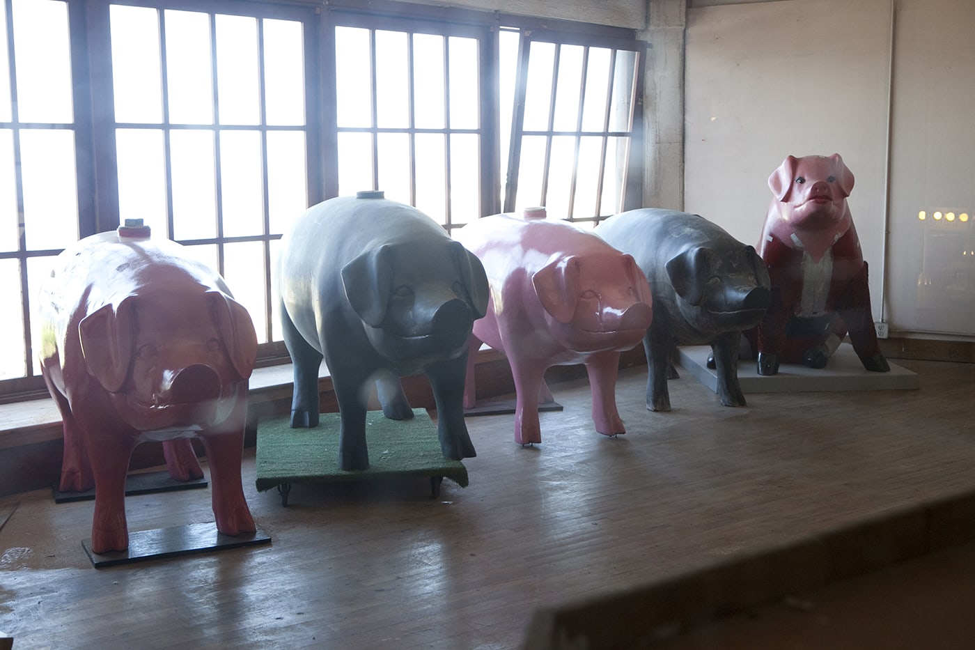 Pigs on Parade - Row of giant pigs inside Pike Place Market in Seattle, Washington.