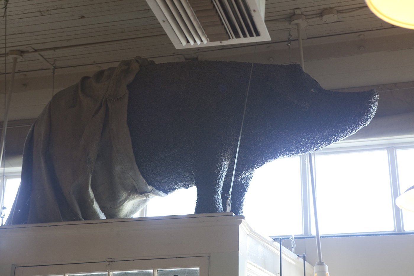 Pig inside the Original Starbucks in Seattle, Washington