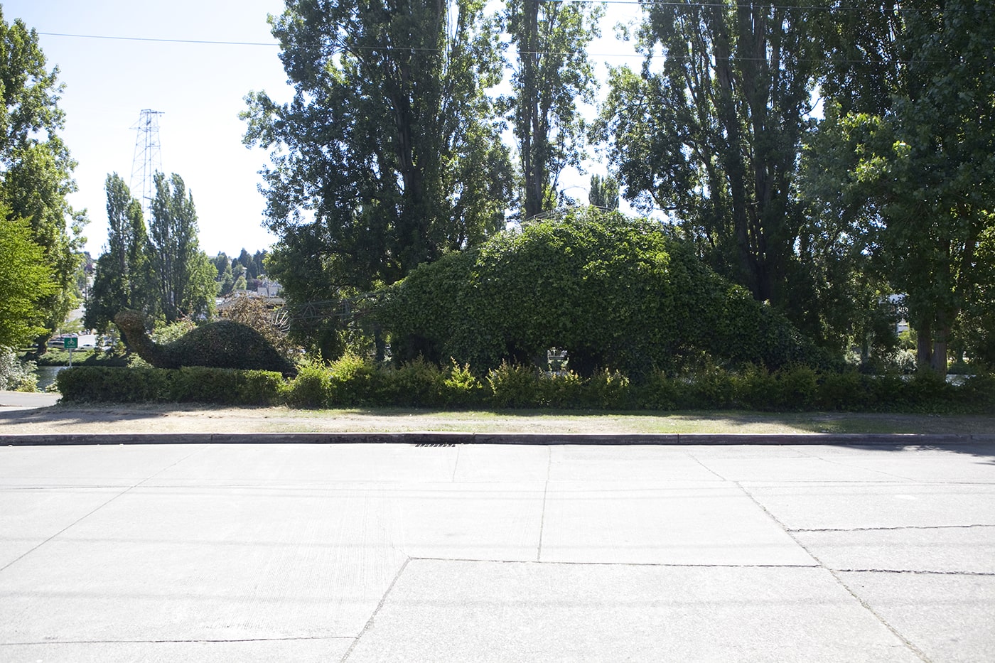 Dinosaur Roadside Attractions - Apatosaurus Dinosaur Topiaries in Fremont, Seattle