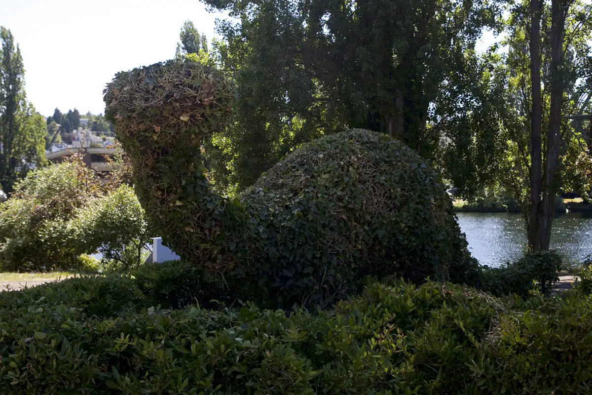 Apatosaurus Dinosaur Topiaries in Fremont, Seattle