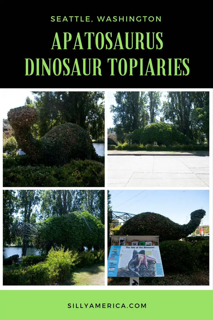 Photos of the Apatosaurus Dinosaur Topiaries in Seattle, Washington. These reptile-shaped hedges are found in the Fremont area of the city. Visit this weird roadside attraction on a Washington road trip or Seattle vacation. Add a stop in Fremont to you travel itinerary and bucket list.
#WashingtonRoadsideAttractions #WashingtonRoadsideAttraction #RoadsideAttractions #RoadsideAttraction #RoadTrip #WashingtonRoadTrip #WashingtonBucketList #SeattleRoadTrip #SeattleTravel #WeirdRoadsideAttractions