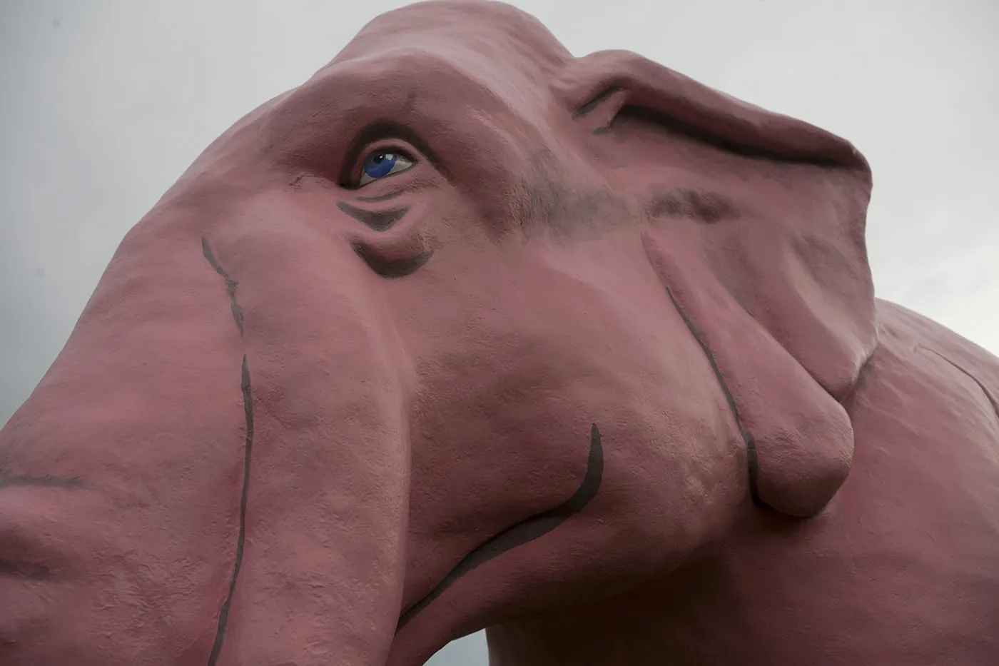 Large Pink Elephant in Fenton, Missouri