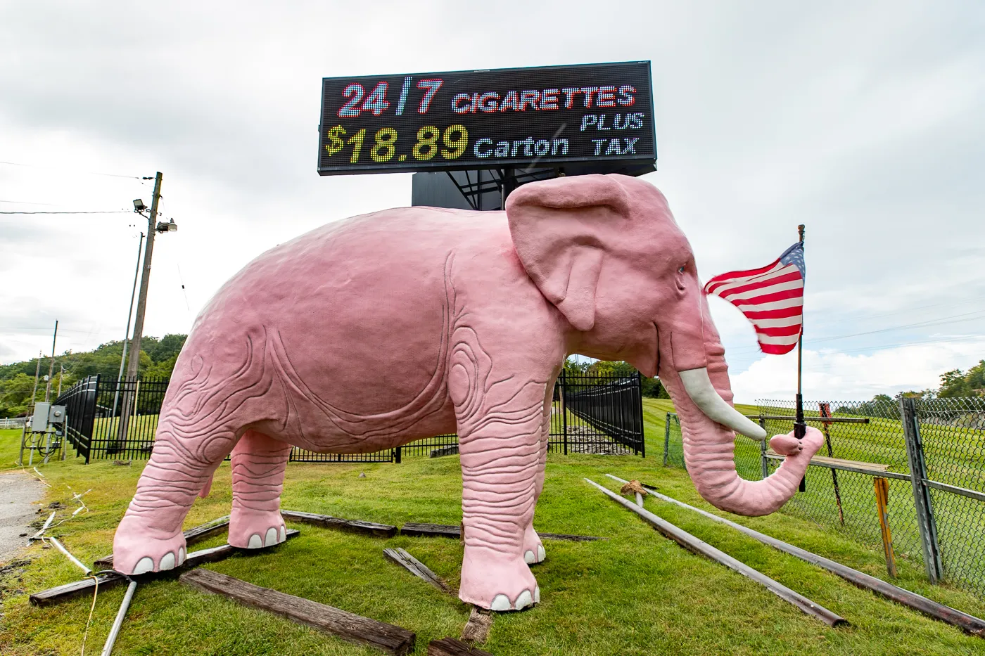 LargeLarge Pink Elephant in Fenton, Missouri roadside attraction Pink Elephant in Fenton, Missouri