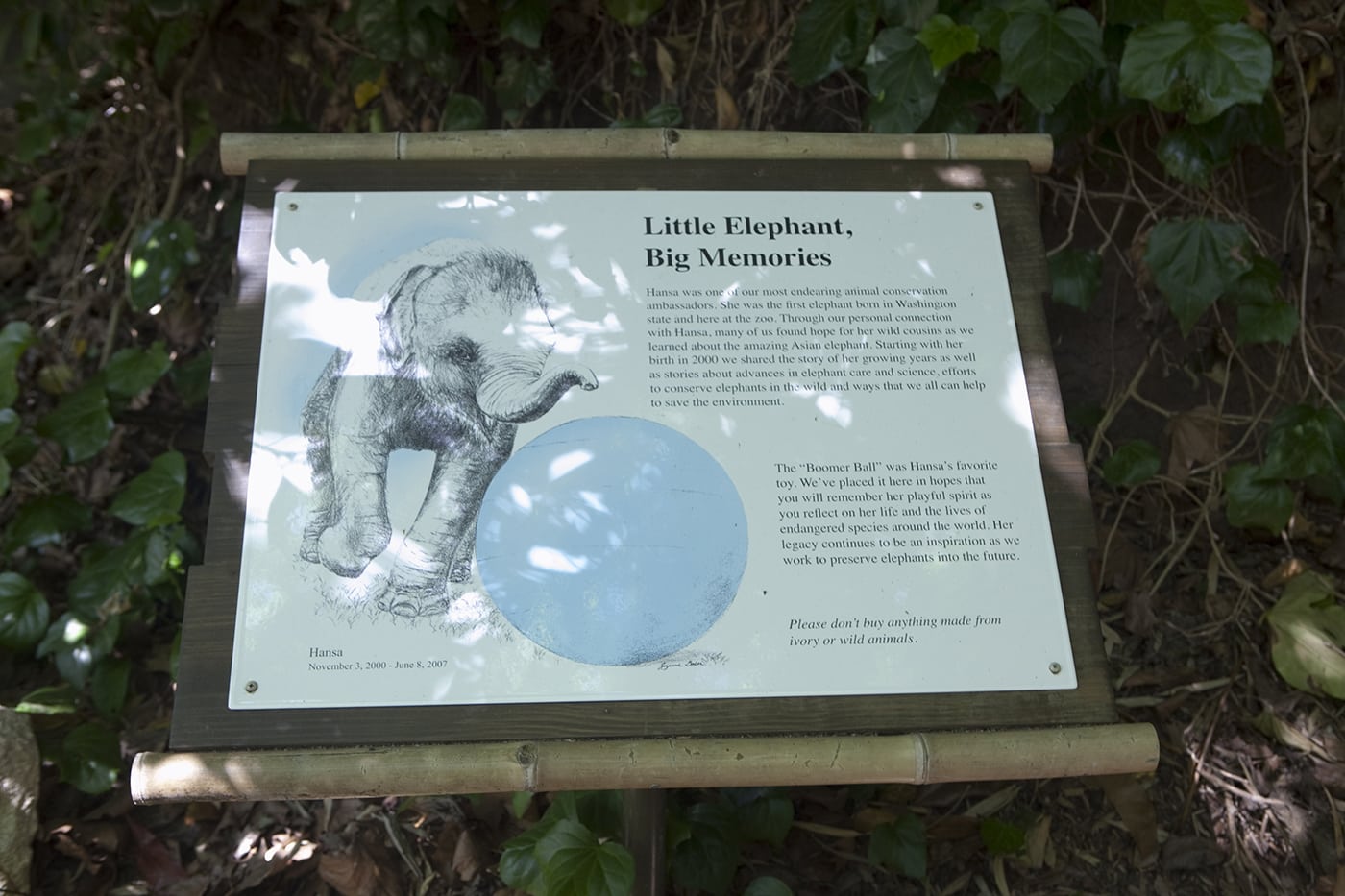 A big blue ball is a tribute to Hansa the elephant at Woodland Park Zoo in Seattle, Washington