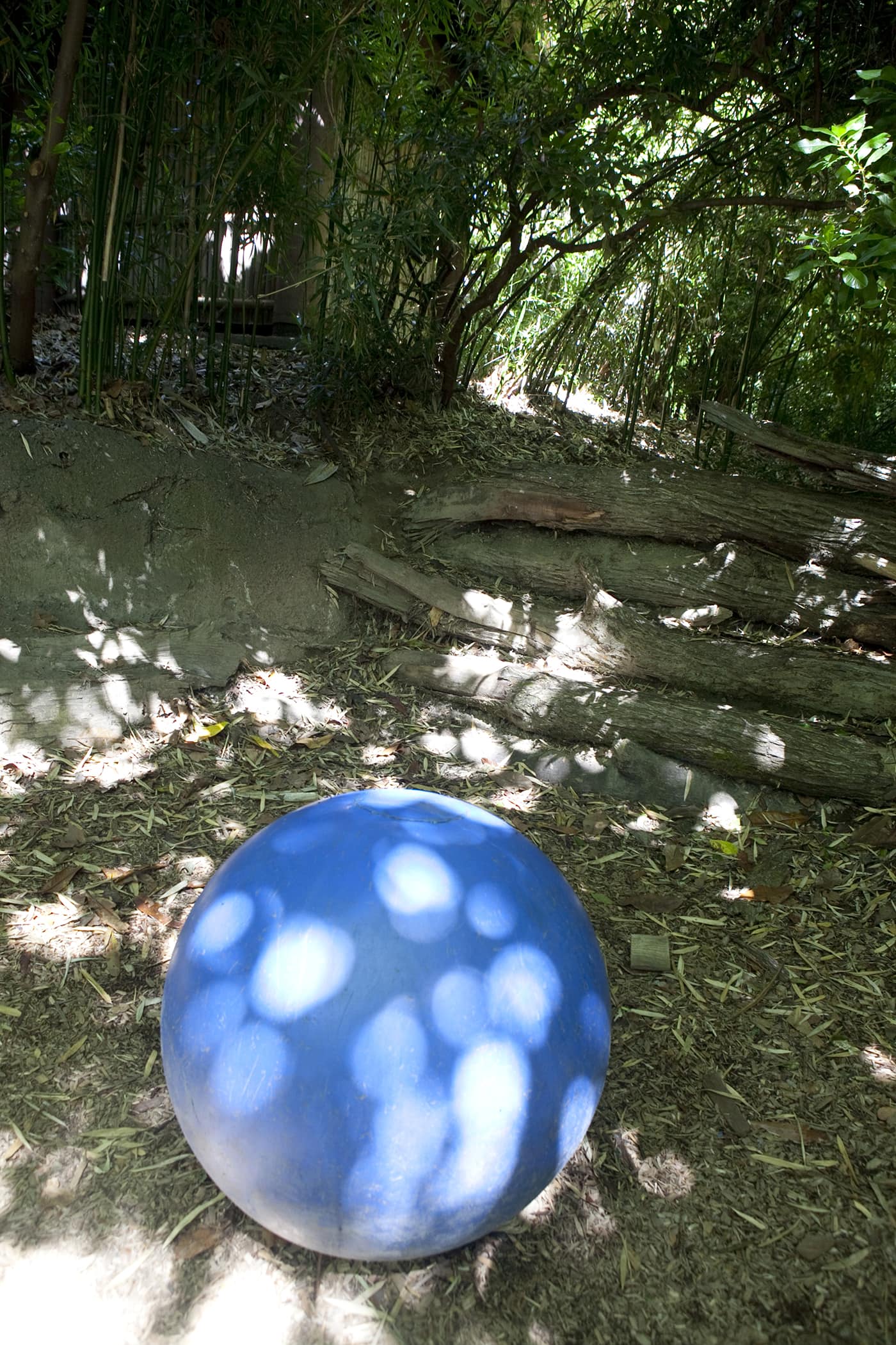 A big blue ball is a tribute to Hansa the elephant at Woodland Park Zoo in Seattle, Washington