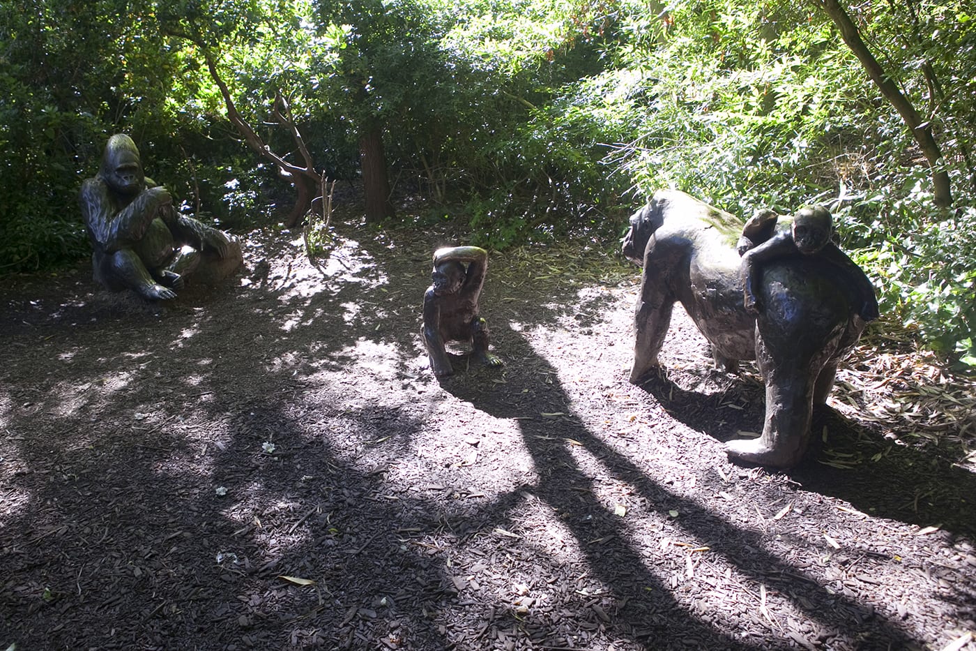 Bronze Gorilla Family Statue at Woodland Park Zoo in Seattle, Washington.