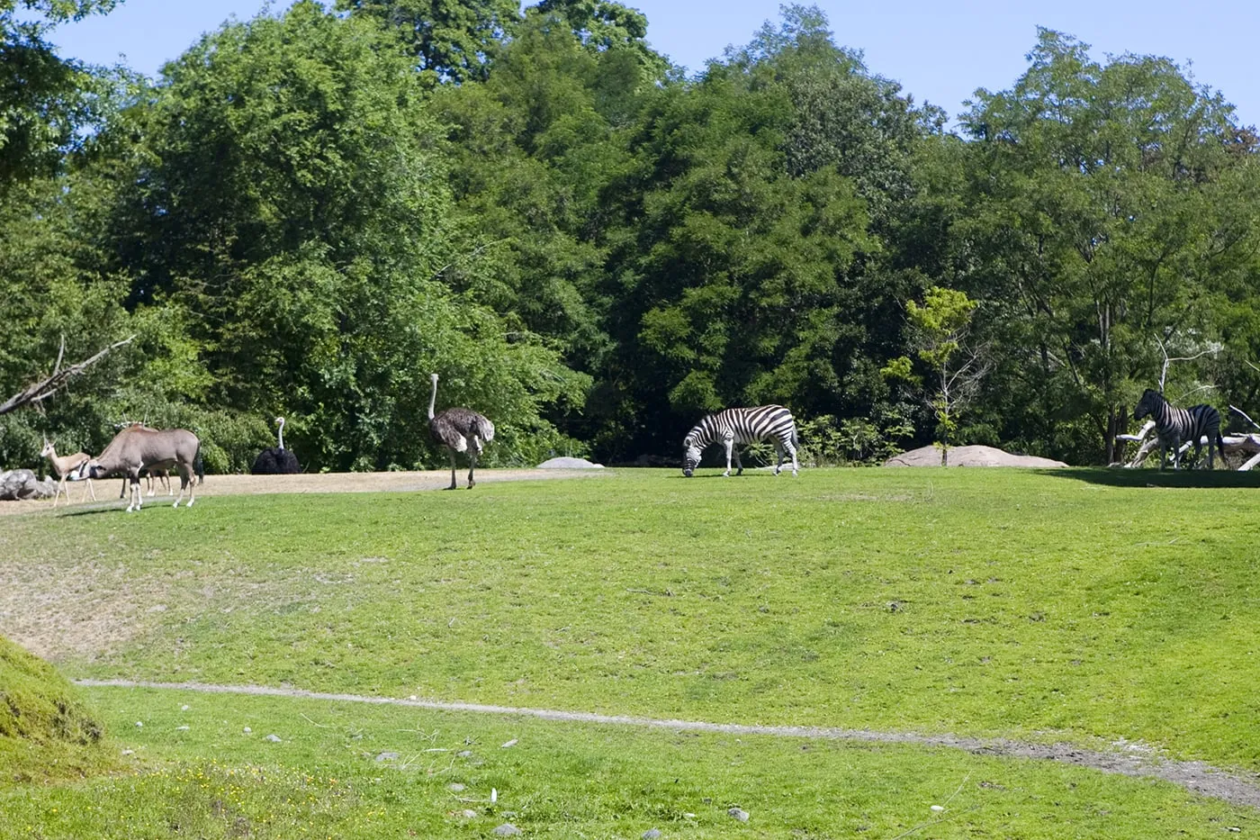 Animals at Woodland Park Zoo in Seattle, Washington.