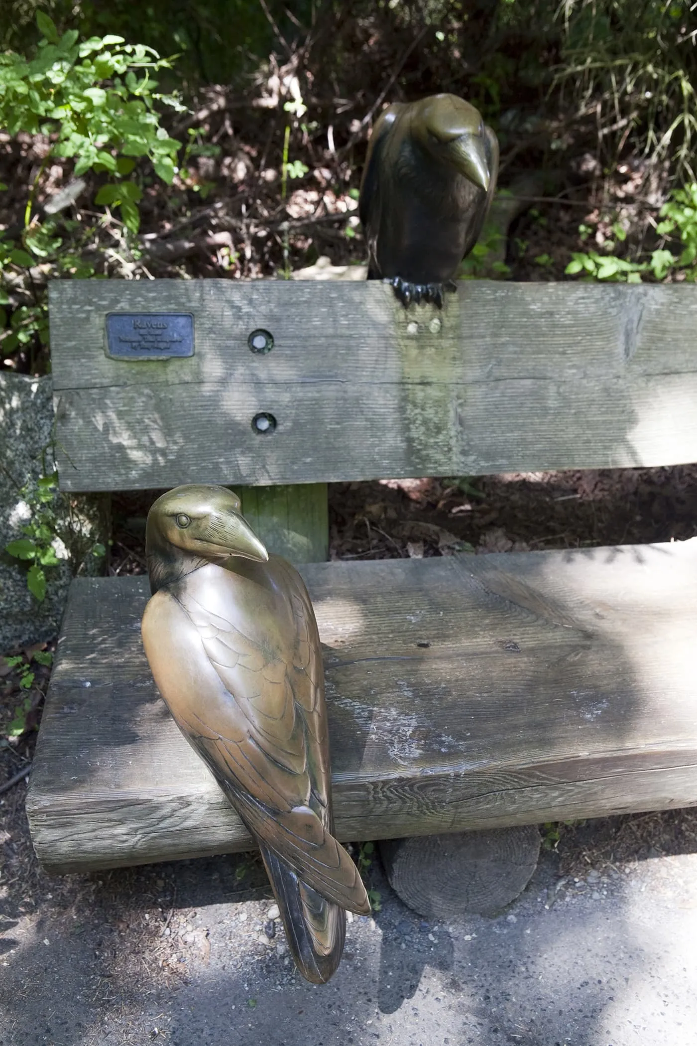 Bronze Raven Sculpture at Woodland Park Zoo in Seattle, Washington.