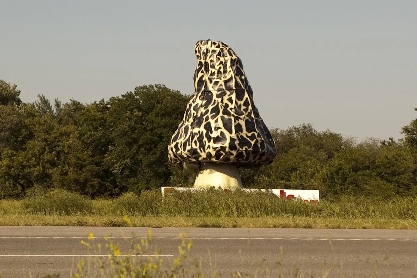 Giant Morel Mushroom, a roadside attraction in Nevada, Missouri.