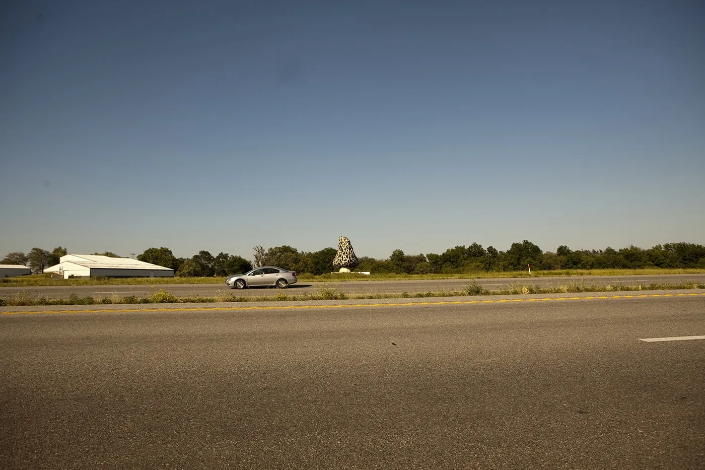 Giant Morel Mushroom, a roadside attraction in Nevada, Missouri.