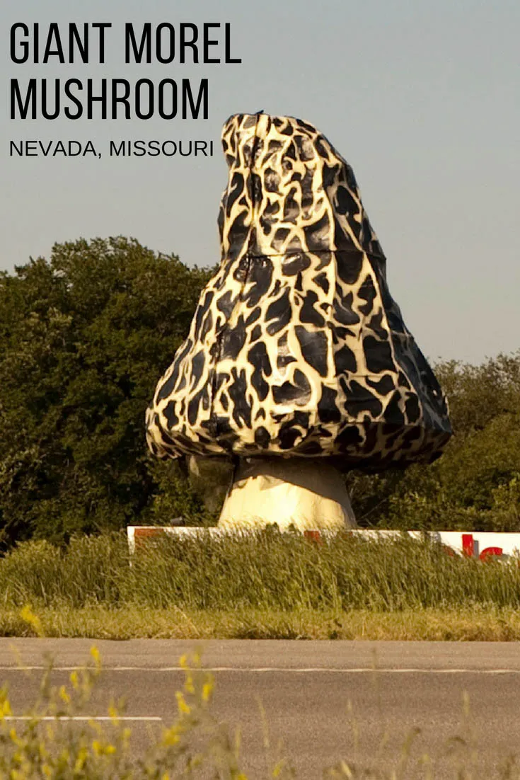 This roadside attraction is a fun guy! (Fungi, get it?) Photos of a 30-foot giant morel mushroom in Nevada, Missouri. The morel of this story: this weird roadside attraction is worth a stop! Come by on a Missouri road trip to places to visit in Missouri.
#MissouriRoadsideAttractions #MissouriRoadsideAttraction #RoadsideAttractions #RoadsideAttraction #RoadTrip #MissouriRoadTrip #MissouriRoadTripMap #PlacestoVisitinMissouri #MissouriRoadTripIdeas #MissouriTravelRoadTrip #WeirdRoadsideAttractions