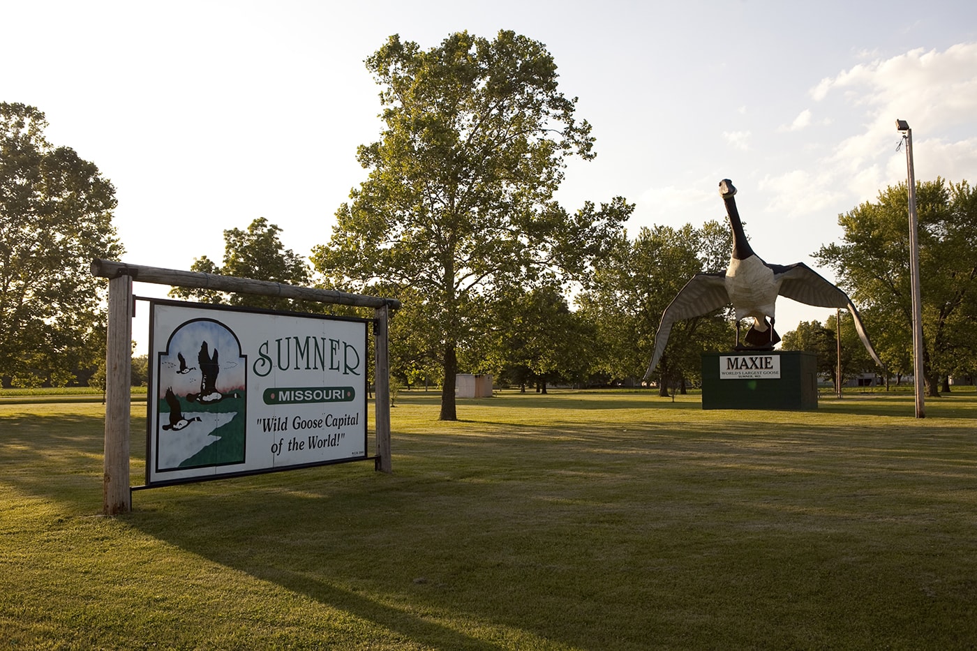 Maxie: The World's Largest Goose in Sumner, Missouri