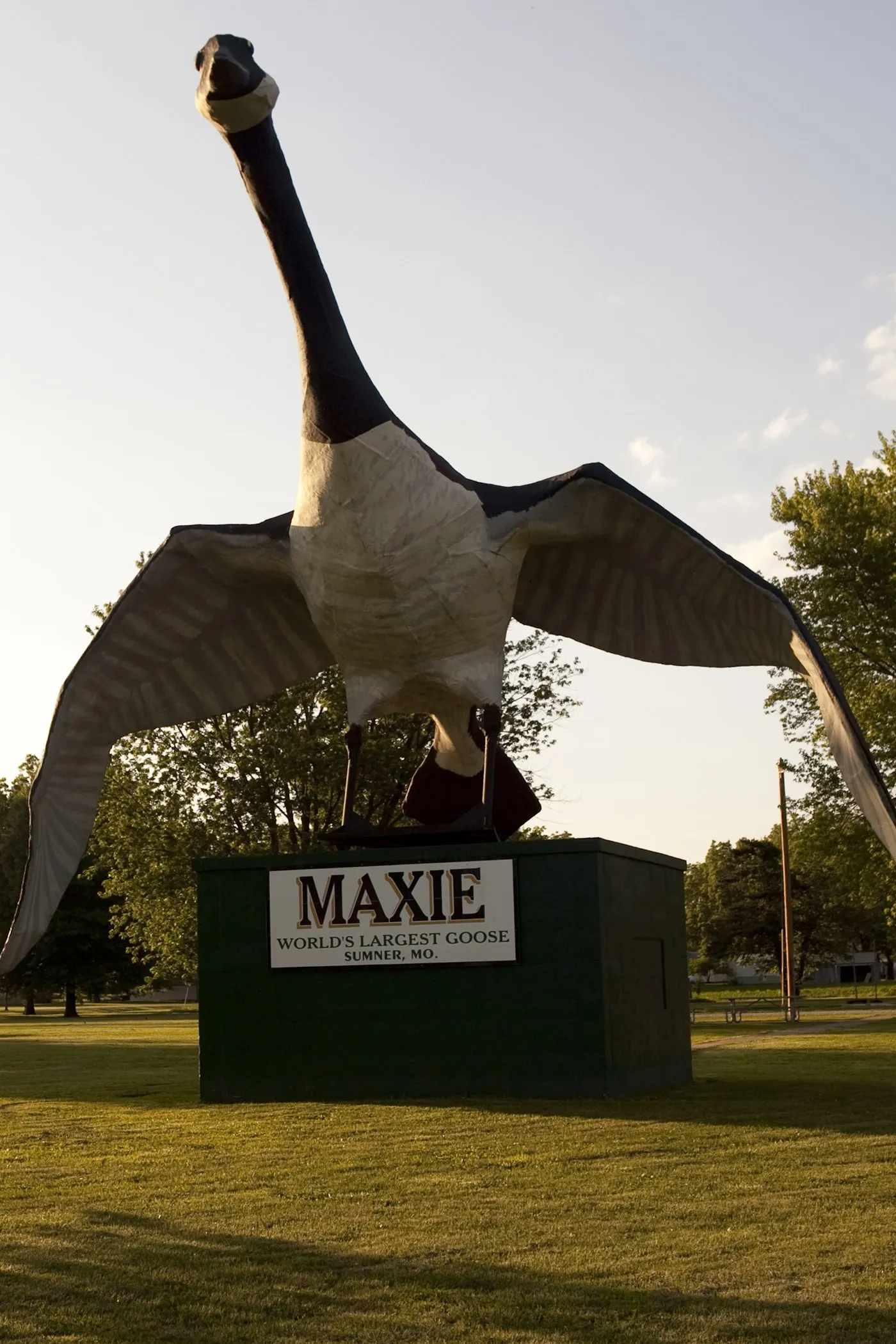 Maxie: The World's Largest Goose in Sumner, Missouri