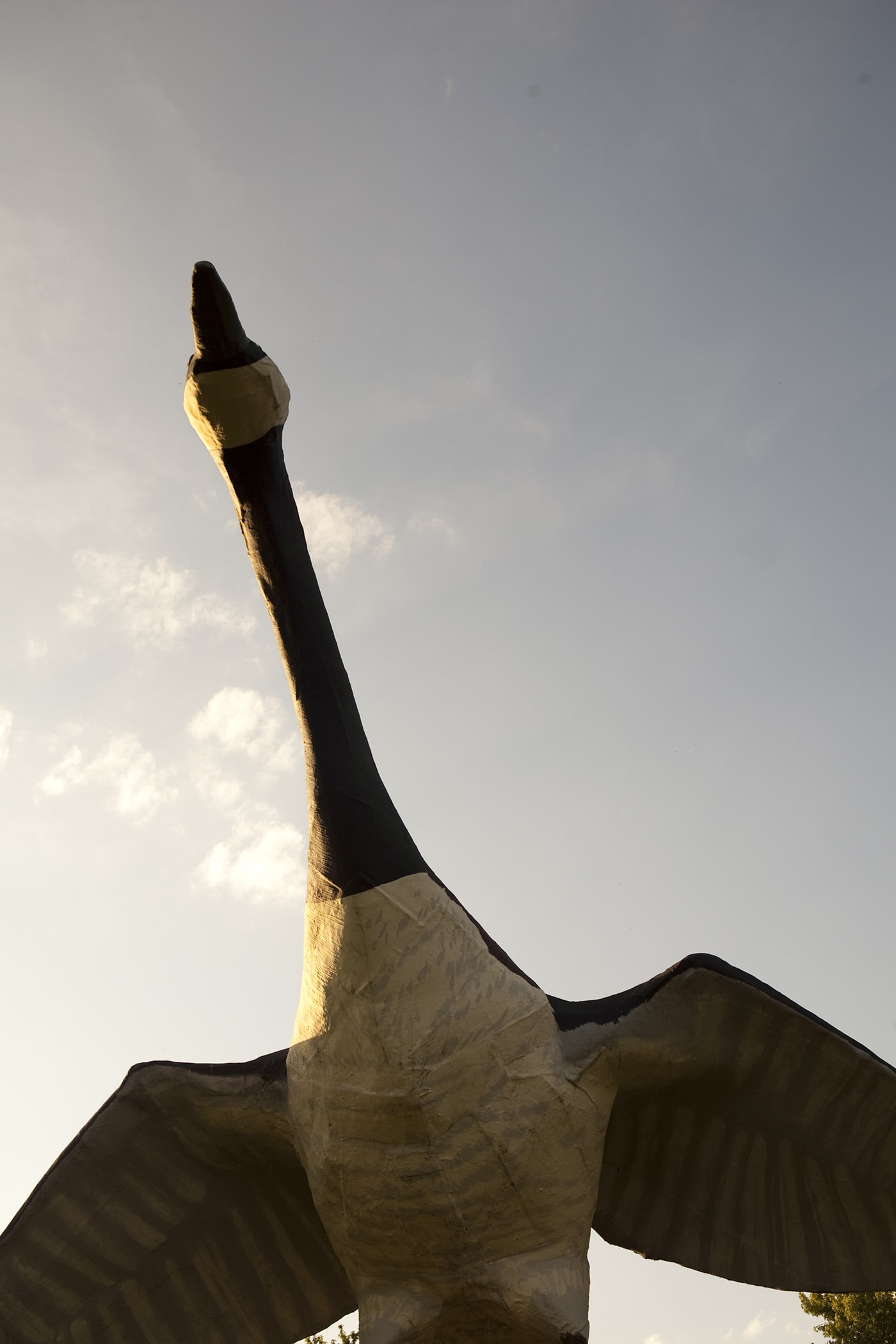 Maxie: The World's Largest Goose in Sumner, Missouri