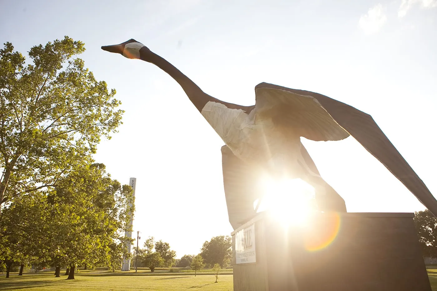 Maxie: The World's Largest Goose in Sumner, Missouri