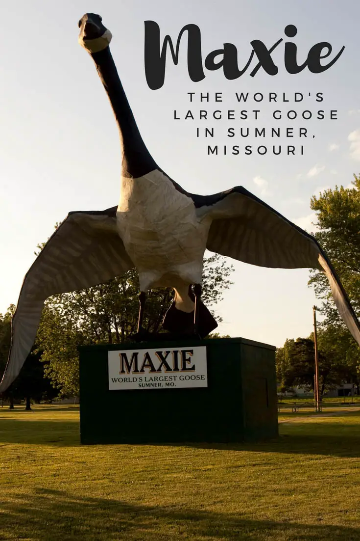 Maxie: The World's Largest Goose in Sumner, Missouri