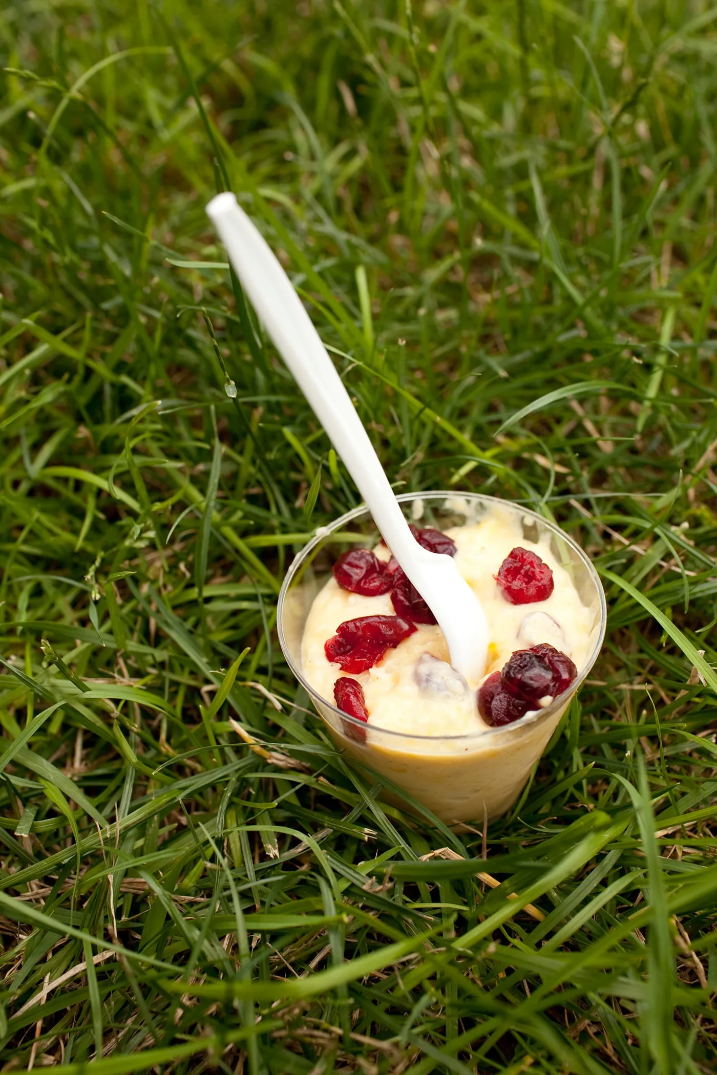 Mango Rice Pudding with Dried Cranberries from The Grill on the Alley at Taste of Chicago