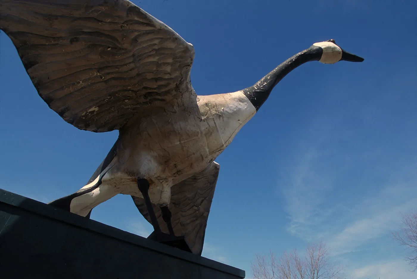 The World's Largest Goose, Sumner, MO.  One of the sites featured in the feature documentary World's Largest. www.worldslargestdoc.com