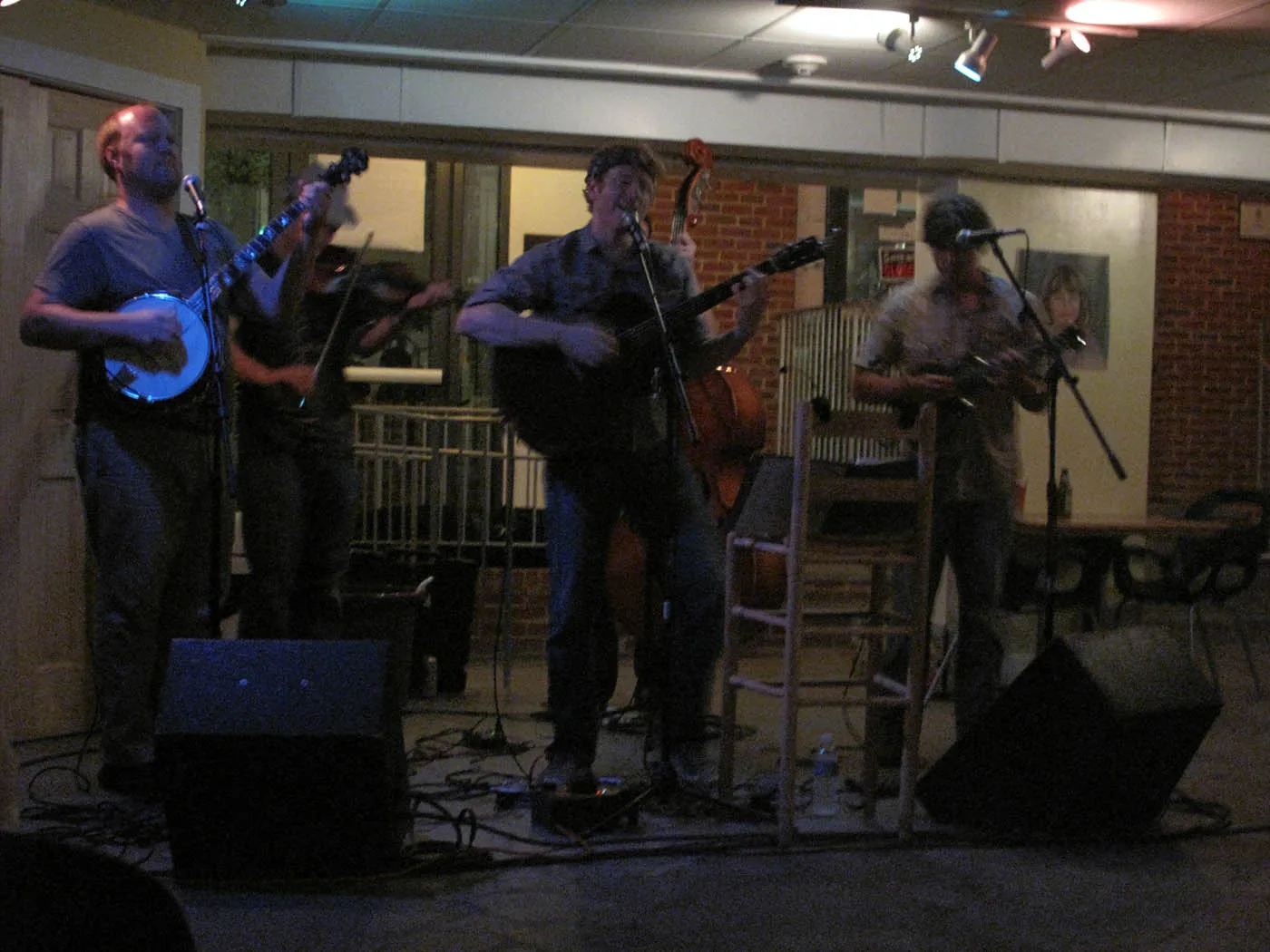 80s cover bluegrass band at the Southern in Charlottesville, Virginia.