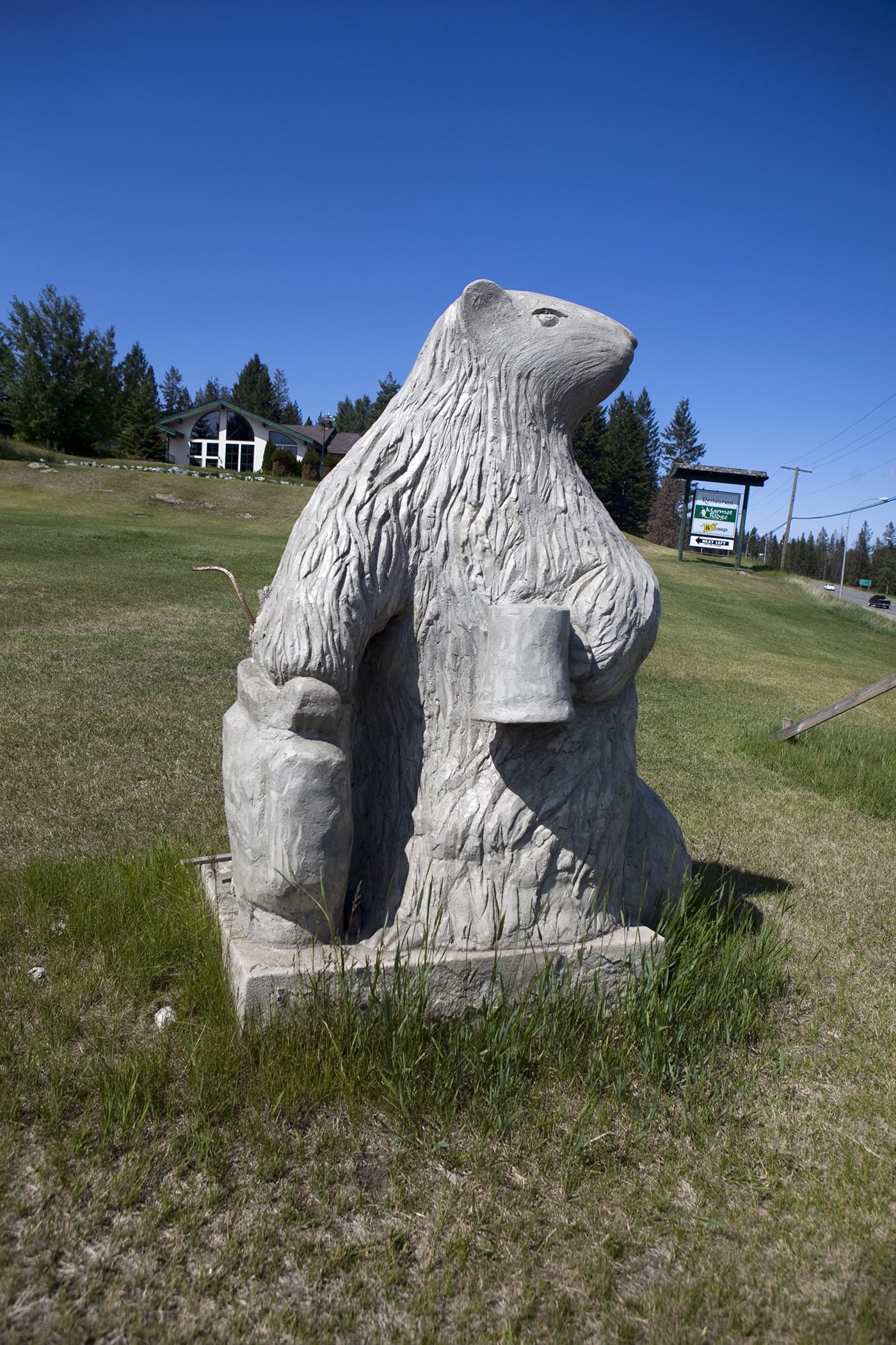 Big Marmot Statue in 100 Mile House, British Columbia, Canada