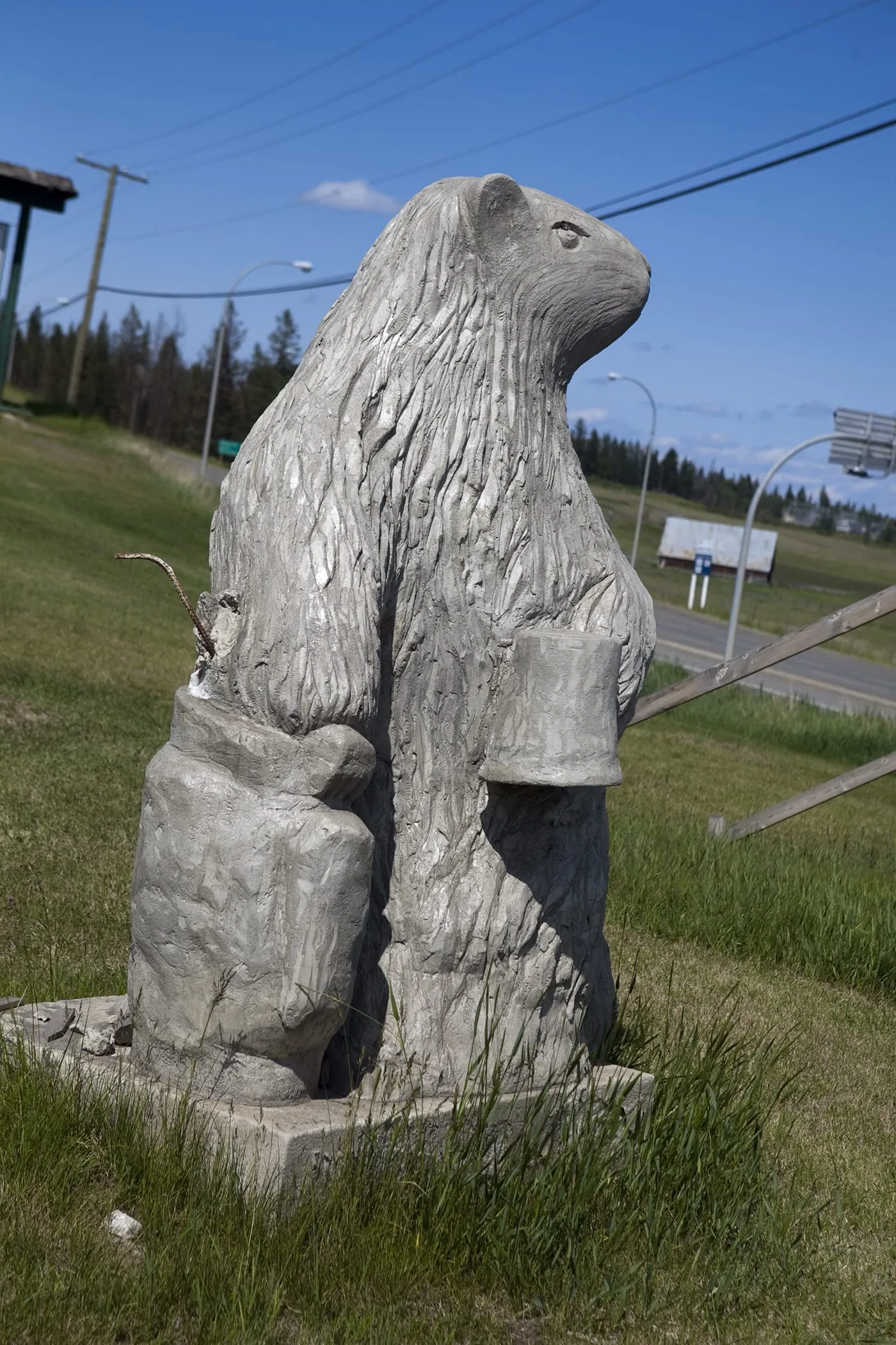 Big Marmot Statue in 100 Mile House, British Columbia, Canada