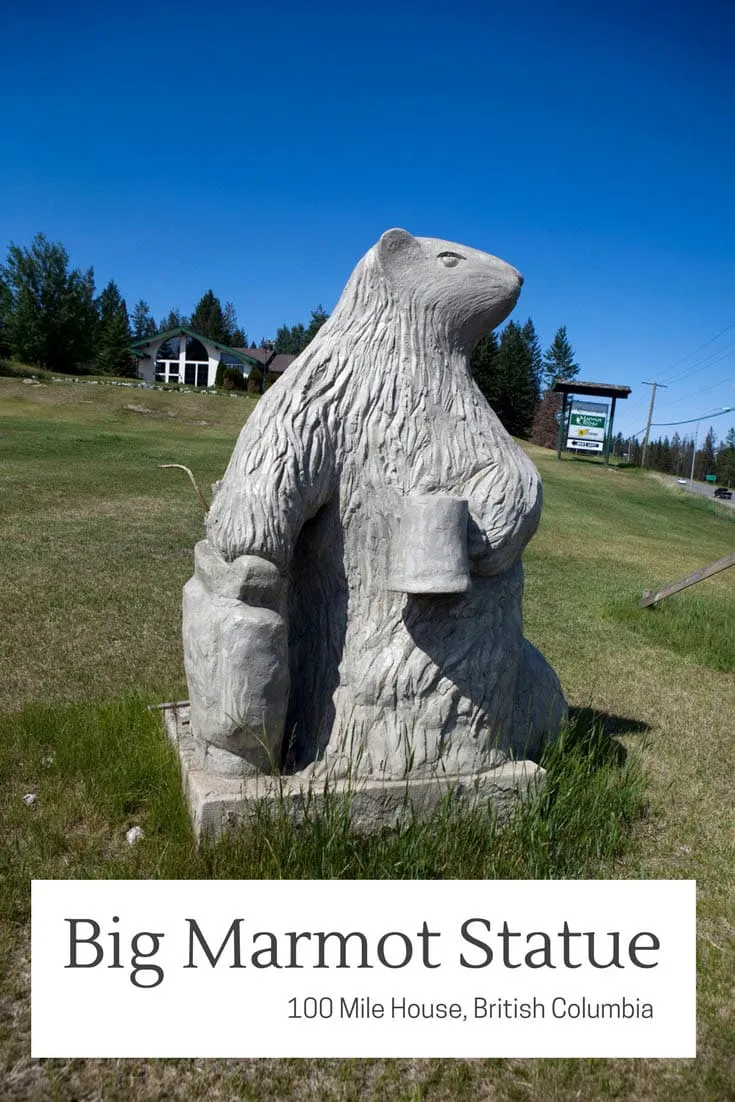 A big statue of a marmot drinking from a mug on Exeter Station Road and Cariboo Hwy outside Marmot Ridge Gold Course in 100 Mile House, British Columbia. Visit this Canadian roadside attraction on a British Columbia road trip travel across the country or from the USA.
#CanadianRoadsideAttractions #CanadianRoadsideAttraction #RoadsideAttractions #RoadsideAttraction #RoadTrip #CanadaRoadTrip #CanadaRoadTripIdeas #CanadaRoadTripItinerary #CanadaRoadTripPhotography #CanadaBucketList