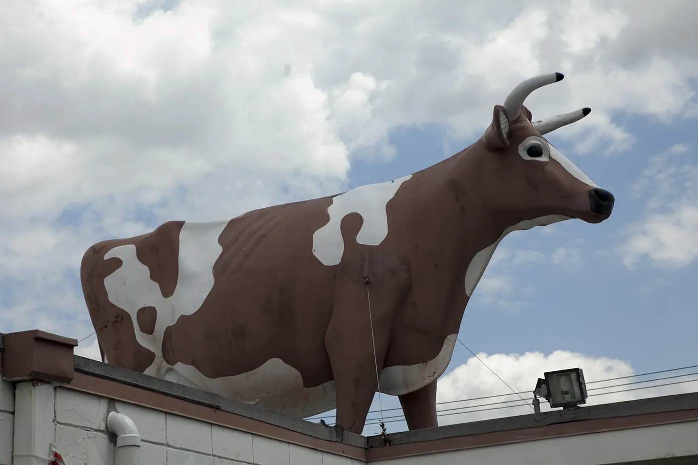 Convenience Store Cow on a Roof in Ypsilanti, Michigan