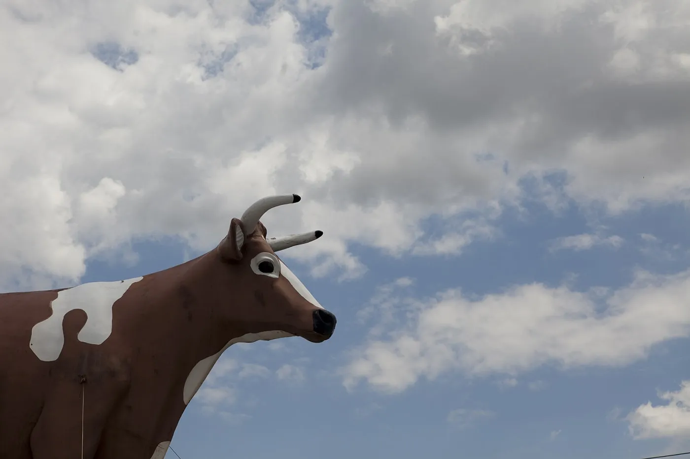 Convenience Store Cow on a Roof in Ypsilanti, Michigan