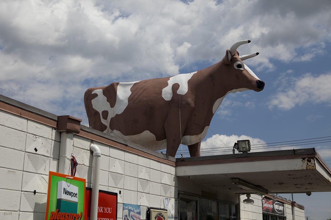 Convenience Store Cow on a Roof in Ypsilanti, Michigan