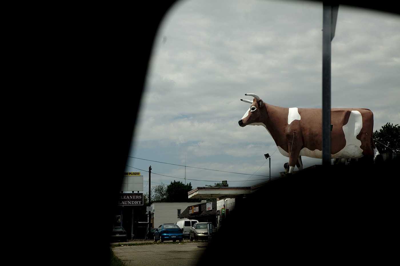 Convenience Store Cow on a Roof in Ypsilanti, Michigan