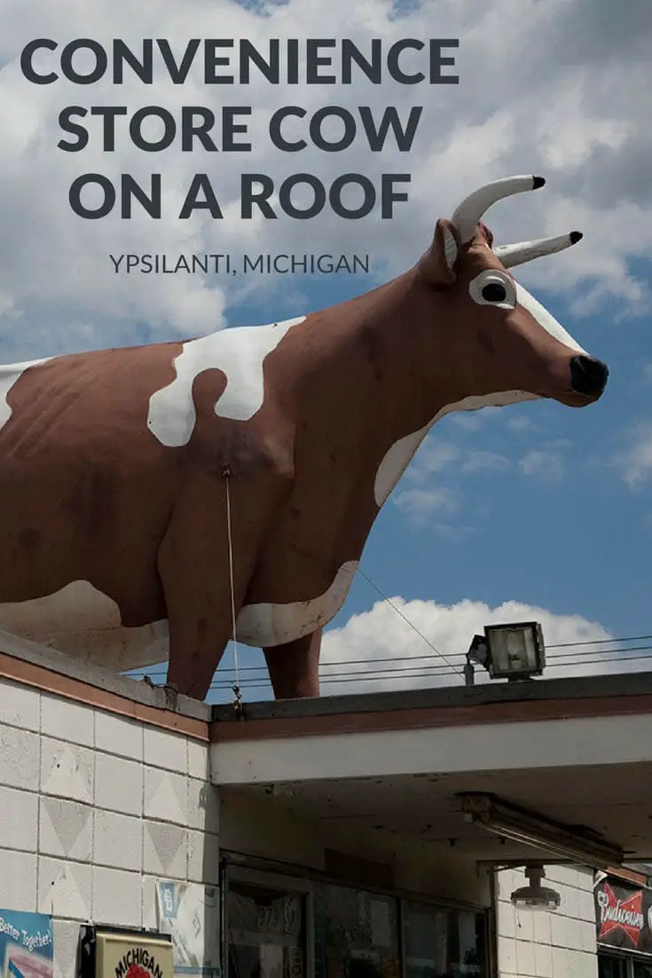 Convenience store cow on the roof of a drive through convenience store in Ypsilanti, Michigan. One giant brown and white holstein. Visit this weird roadside attraction on a Michigan road trip. Add the travel destination to your road trip map, bucket list, and itinerary of places to visit in Michigan.
#MichiganRoadsideAttractions #MichiganRoadsideAttraction #RoadsideAttractions #RoadsideAttraction #RoadTrip #MichiganRoadTrip
#WeirdRoadsideAttractions #RoadTripStops