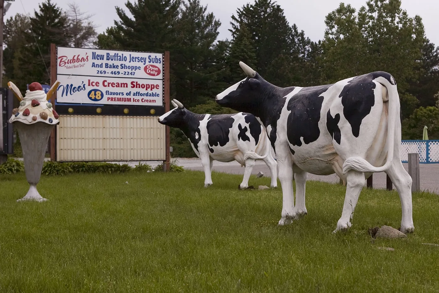 Large Cows and Ice Cream Cone in New Buffalo, Michigan