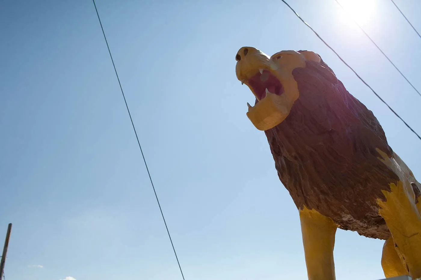 Lions Club Lion Statue in Thomasville, North Carolina
