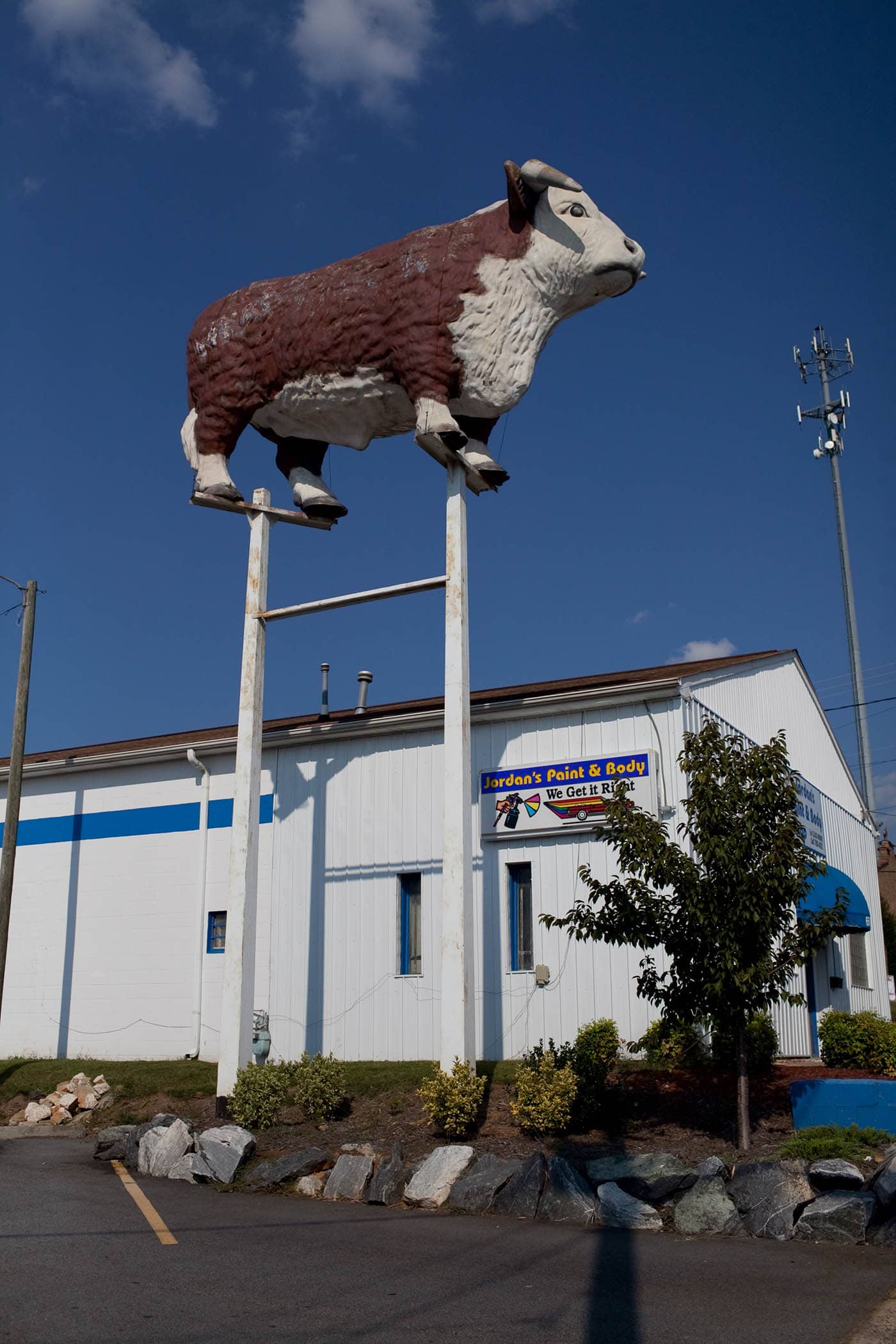 Giant Bull at Jordan's Paint & Body Shop in Winston-Salem, NC