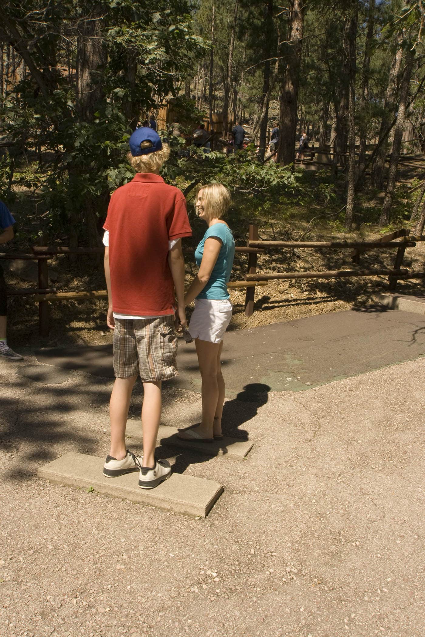 Cosmos Mystery Area in Rapid City, South Dakota