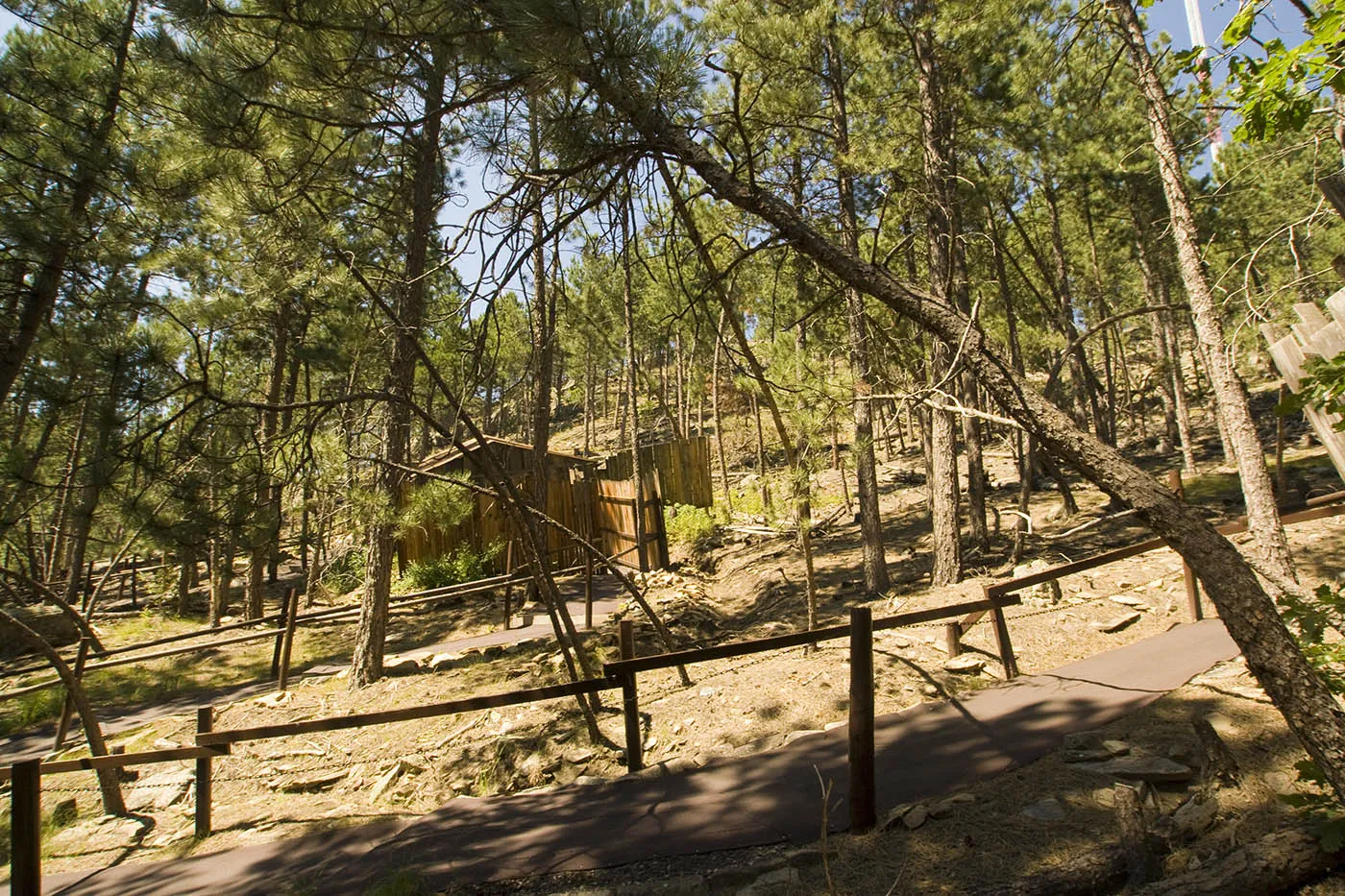 Cosmos Mystery Area in Rapid City, South Dakota