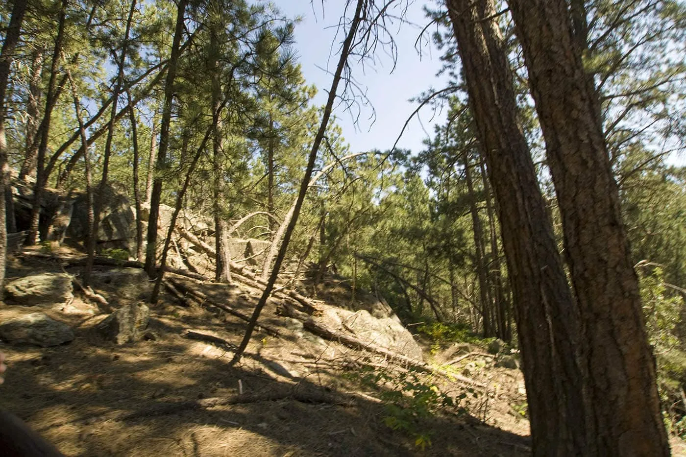 Cosmos Mystery Area in Rapid City, South Dakota