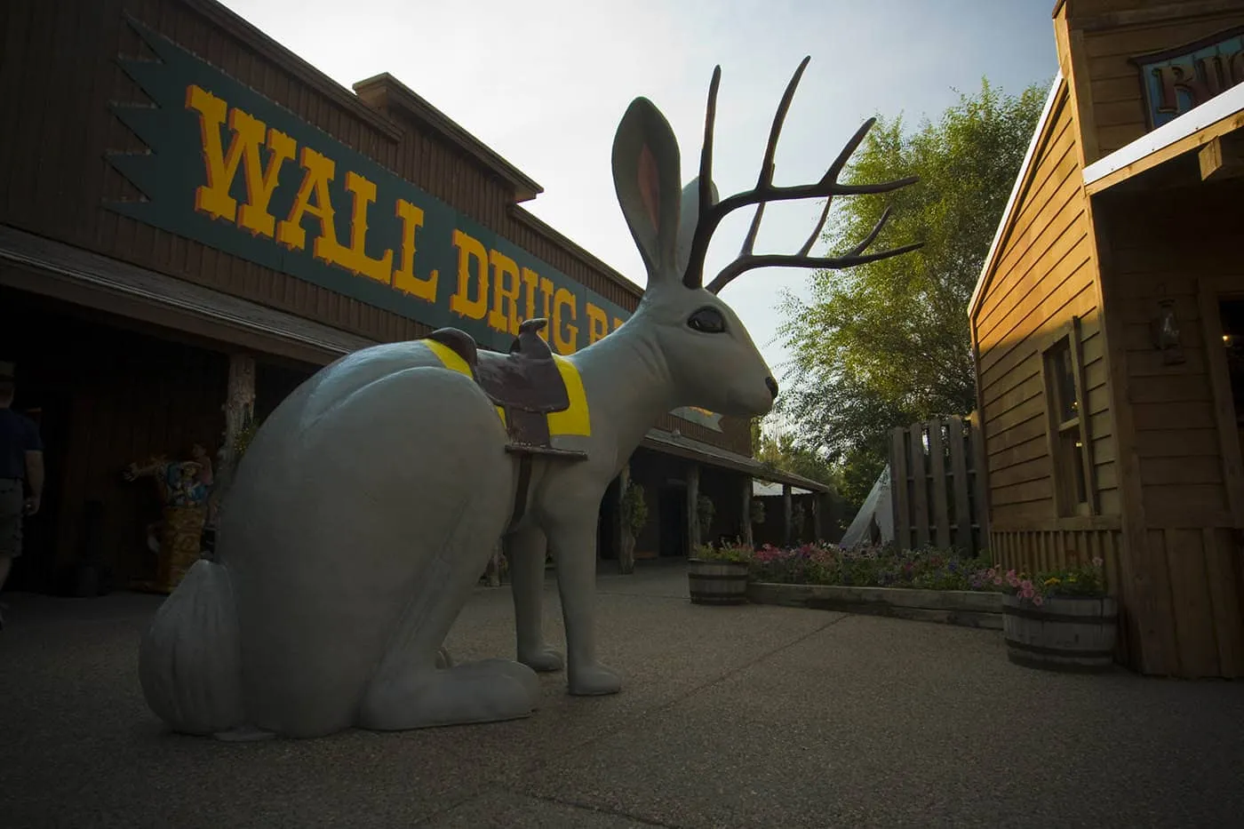 Ride the Jackalope at Wall Drug Store in Wall, South Dakota