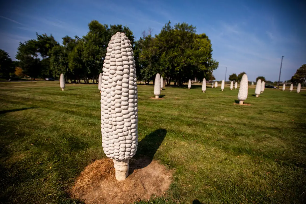 Field of Giant Corn Cobs in Dublin, Ohio (Cornhenge) - Silly America