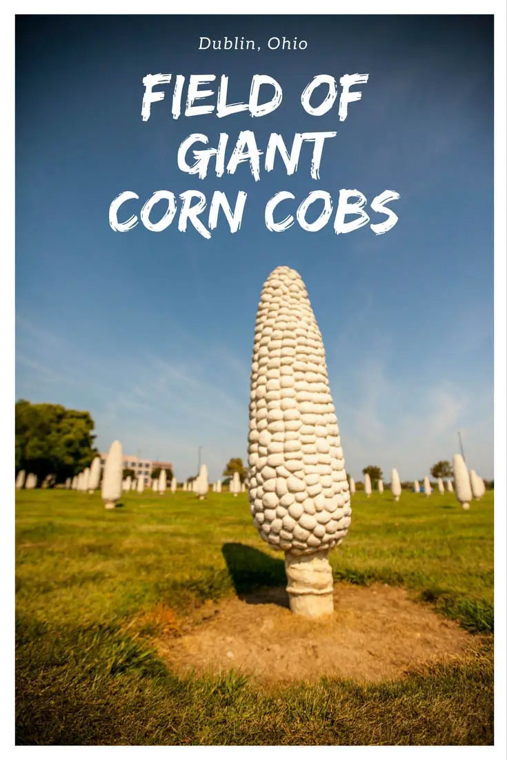Want to see something corny? This roadside attraction is all ears. Ears of corn, that is. Welcome to the Field of Giant Corn Cobs in Dublin Ohio! Visit this weird Ohio roadside attraction on your Ohio road trip and add the destination to your travel bucket lists or vacation itinerary ideas.
#OhioRoadsideAttractions #RoadsideAttractions #RoadTrip #OhioRoadTrip #OhioRoadTripDestinations #OhioRoadTripIdeas #OhioRoadTripBucketLists #OhioBucketList #OhioRoadTripIdeas #WeirdRoadsideAttractions
