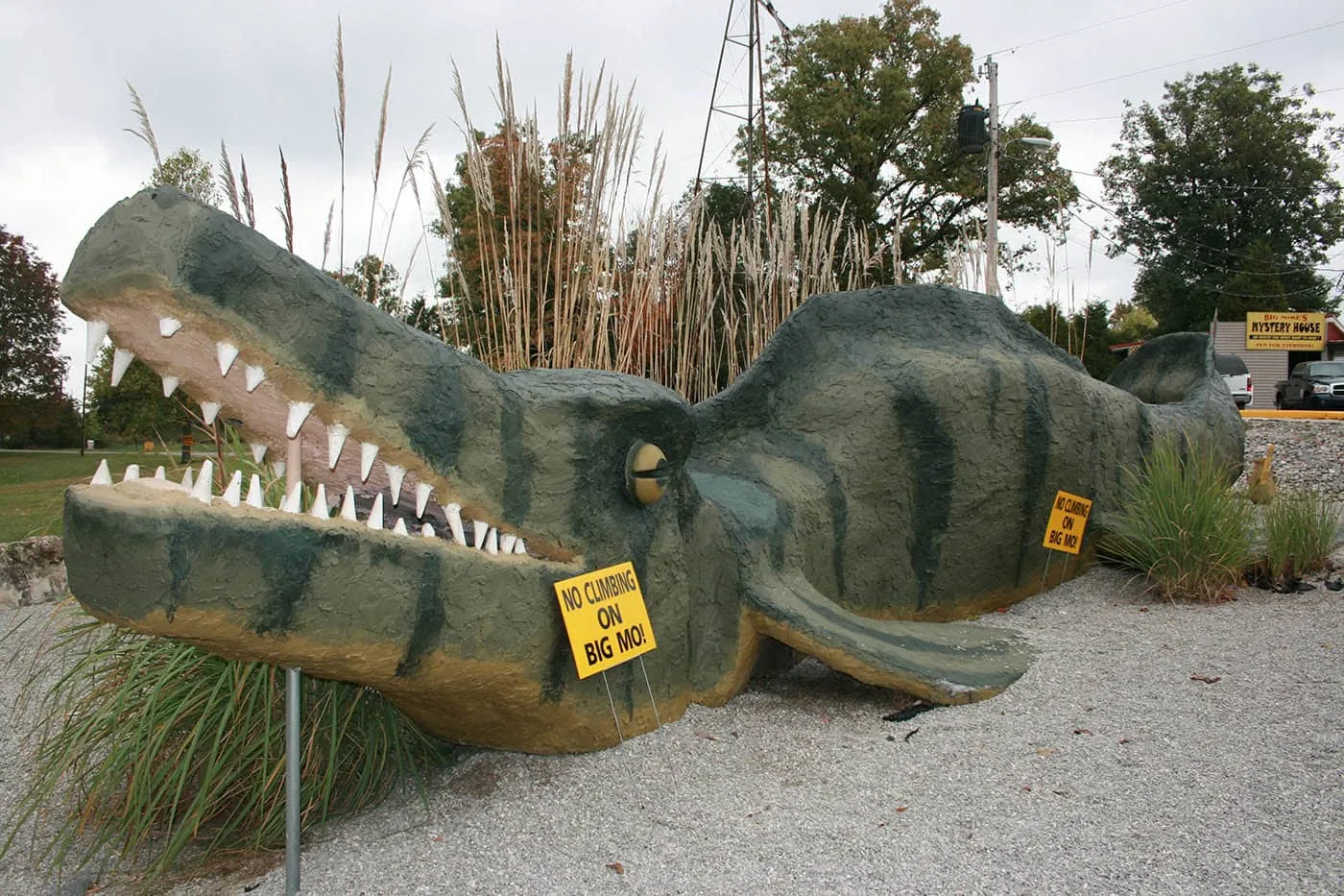 Big Mo mosasaur fossil at Big Mike's Mystery House in Cave City, Kentucky