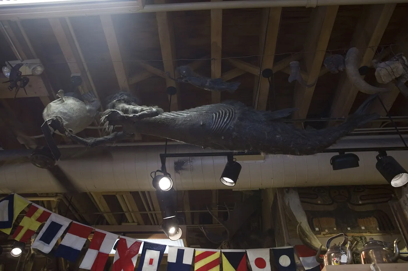 Mer man at Ye Olde Curiosity Shoppe in Seattle, Washington