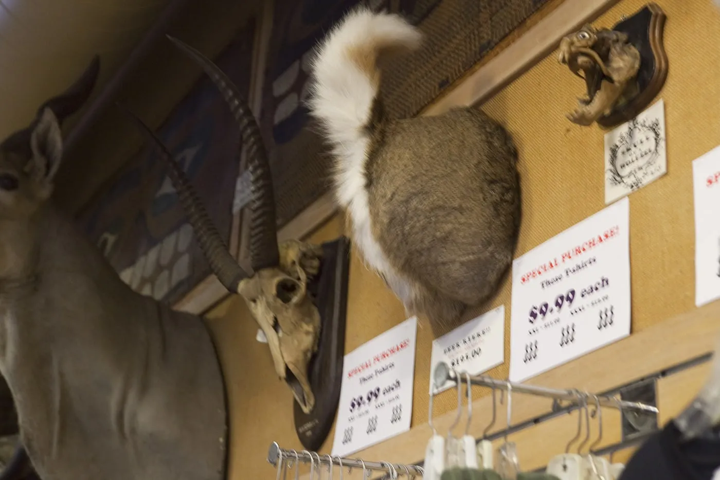 Ye Olde Curiosity Shoppe in Seattle, Washington