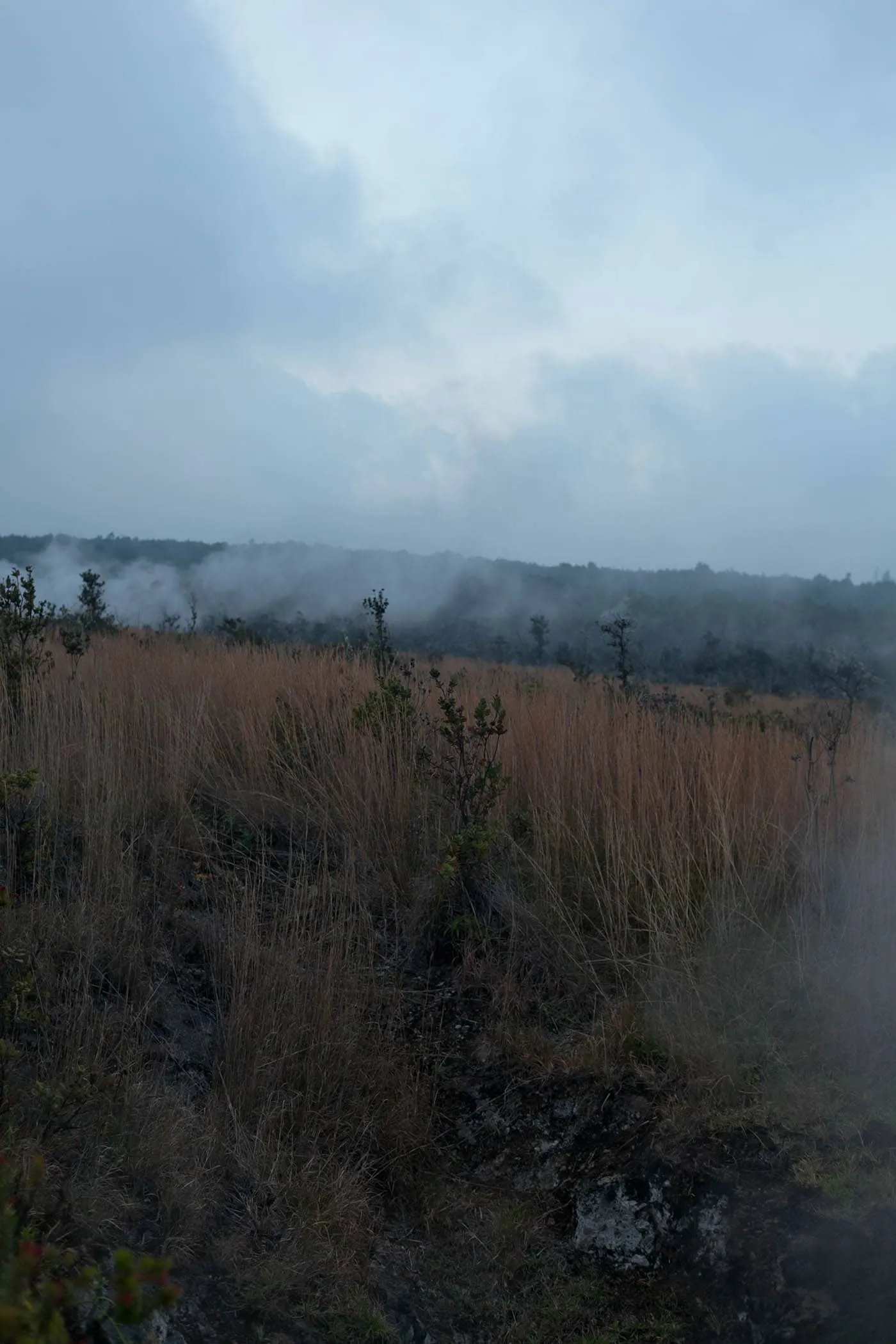 Hawaii Volcanoes National Park on the Big Island