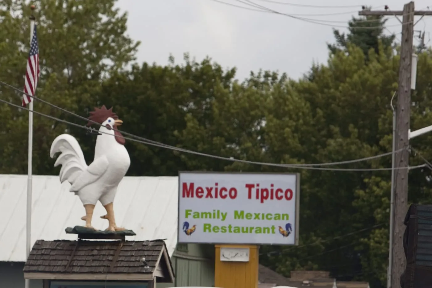 Big Rooster in Nooksack, Washington