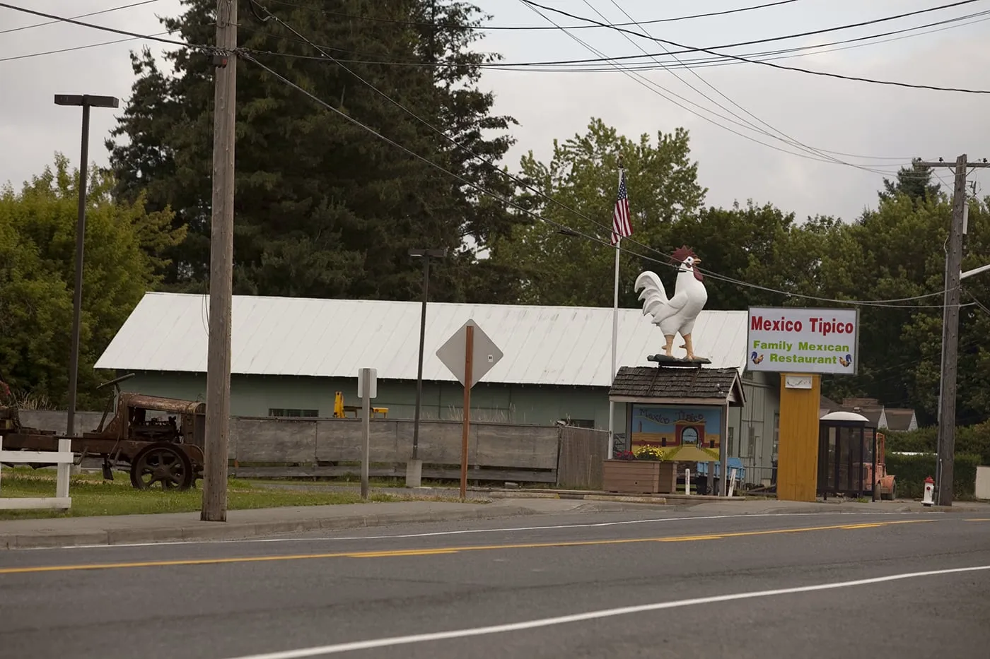 Big Rooster in Nooksack, Washington