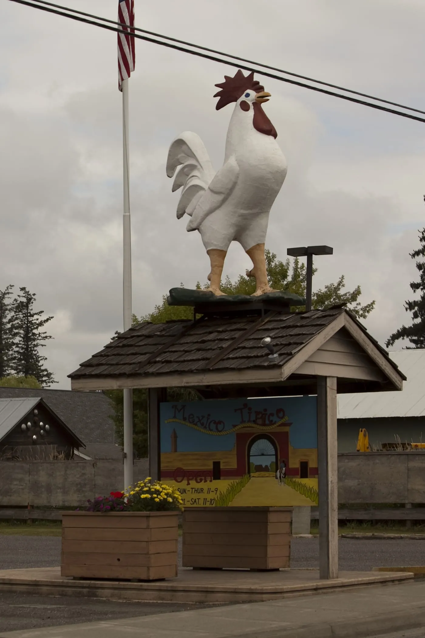 Big Rooster in Nooksack, Washington