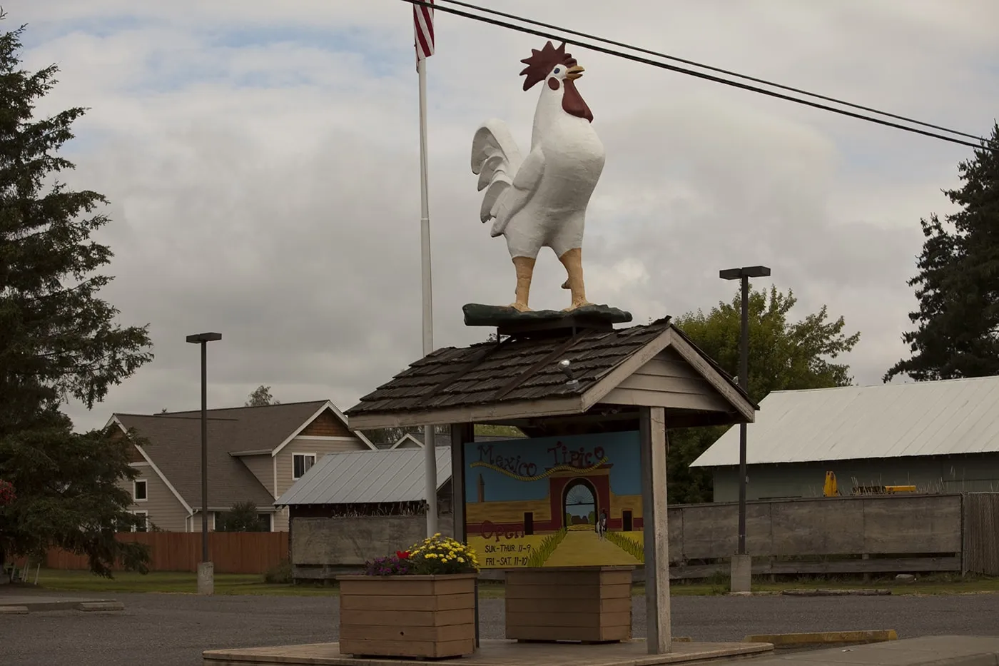 Big Rooster in Nooksack, Washington