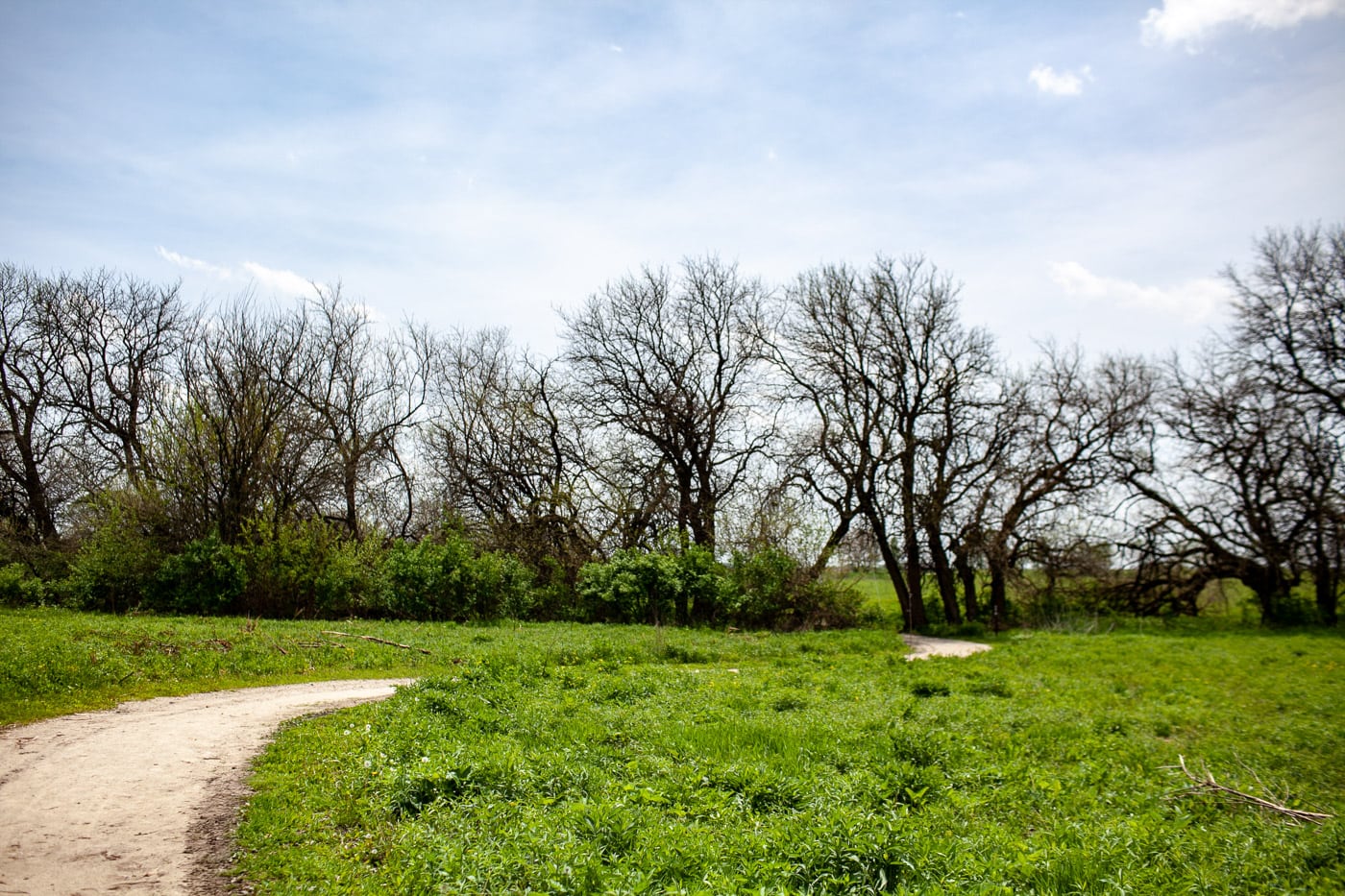 Midewin National Tallgrass Prairie in Wilmington, Illinois. See Bison in Illinois.